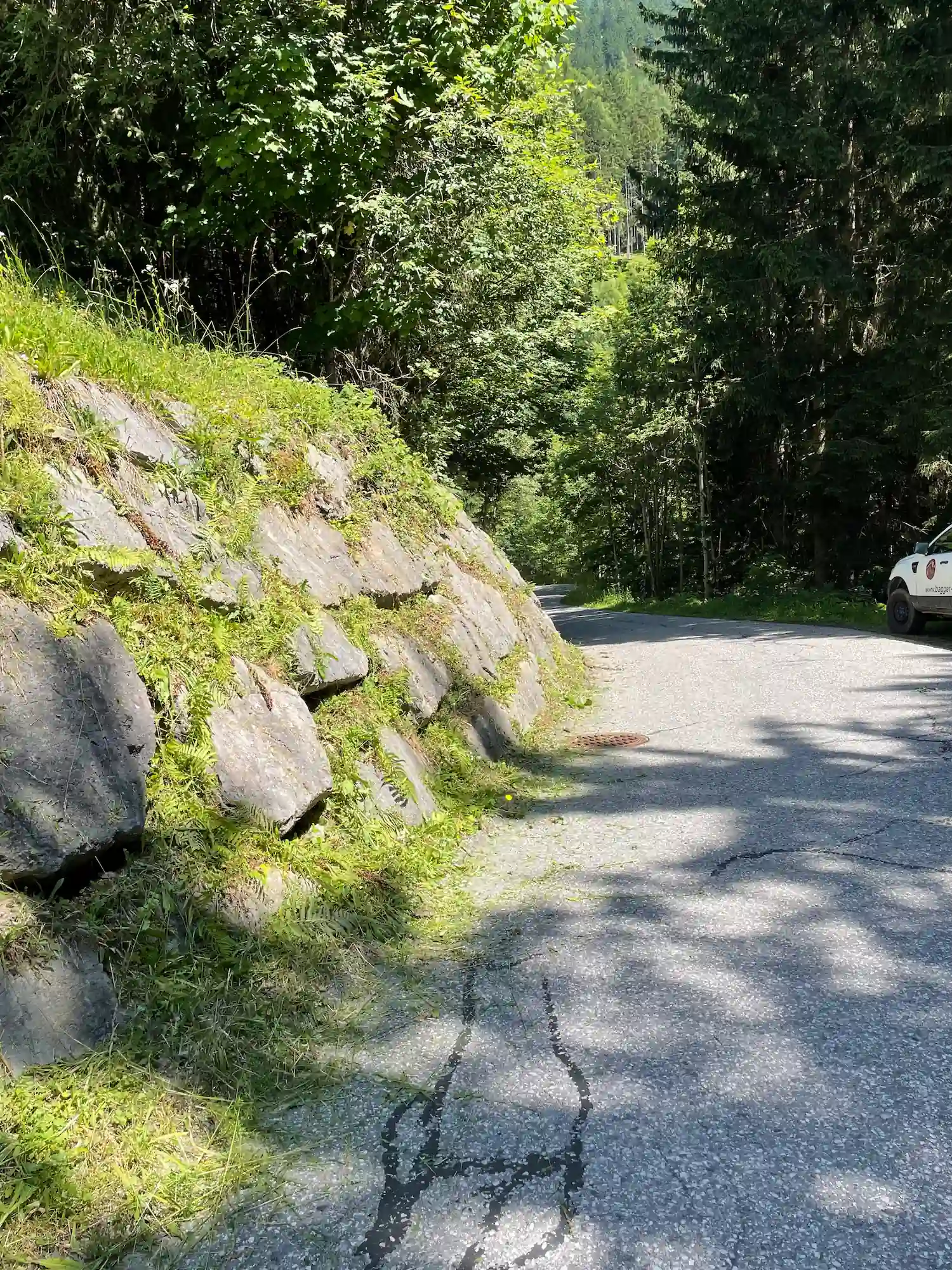 HG Erdbewegungen sorgt für die Pflege und Instandhaltung ihres Grundstücks im Tiroler Unterland.
