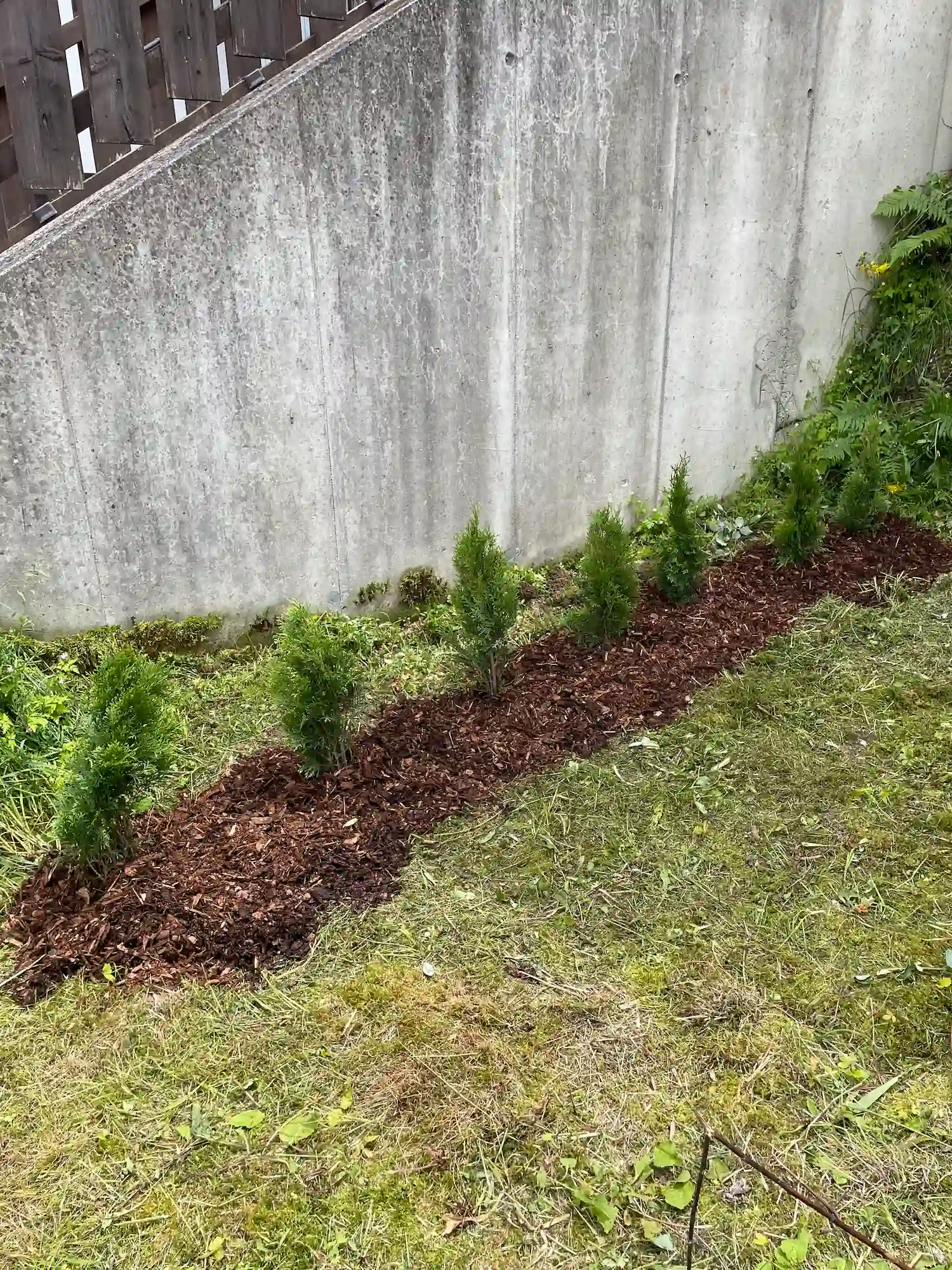 HG Erdbewegungen sorgt für die Pflege und Instandhaltung ihres Grundstücks im Tiroler Unterland.