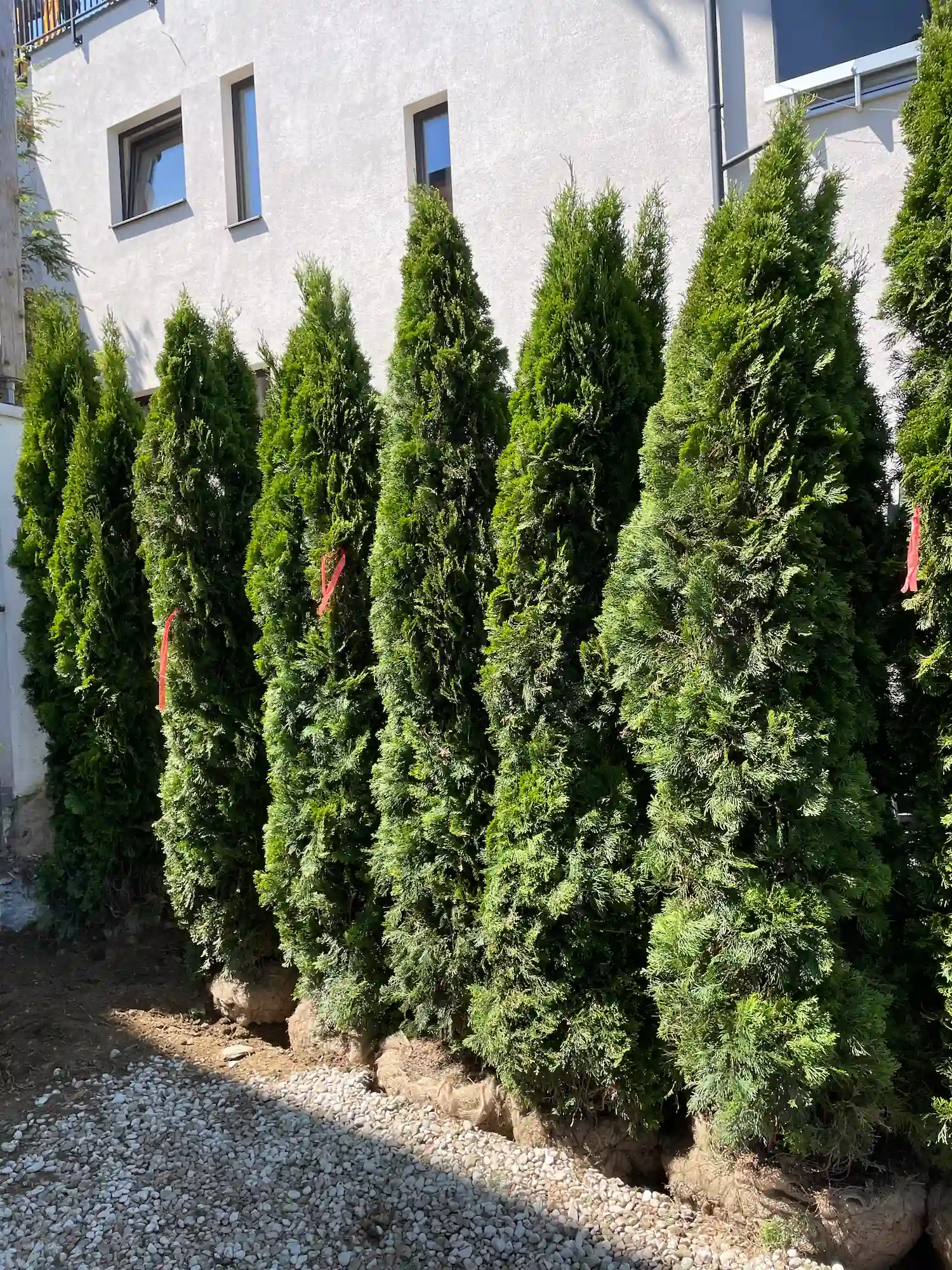 HG Erdbewegungen sorgt für die Pflege und Instandhaltung ihres Grundstücks im Tiroler Unterland.